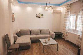 Comfortable apartment in the city center